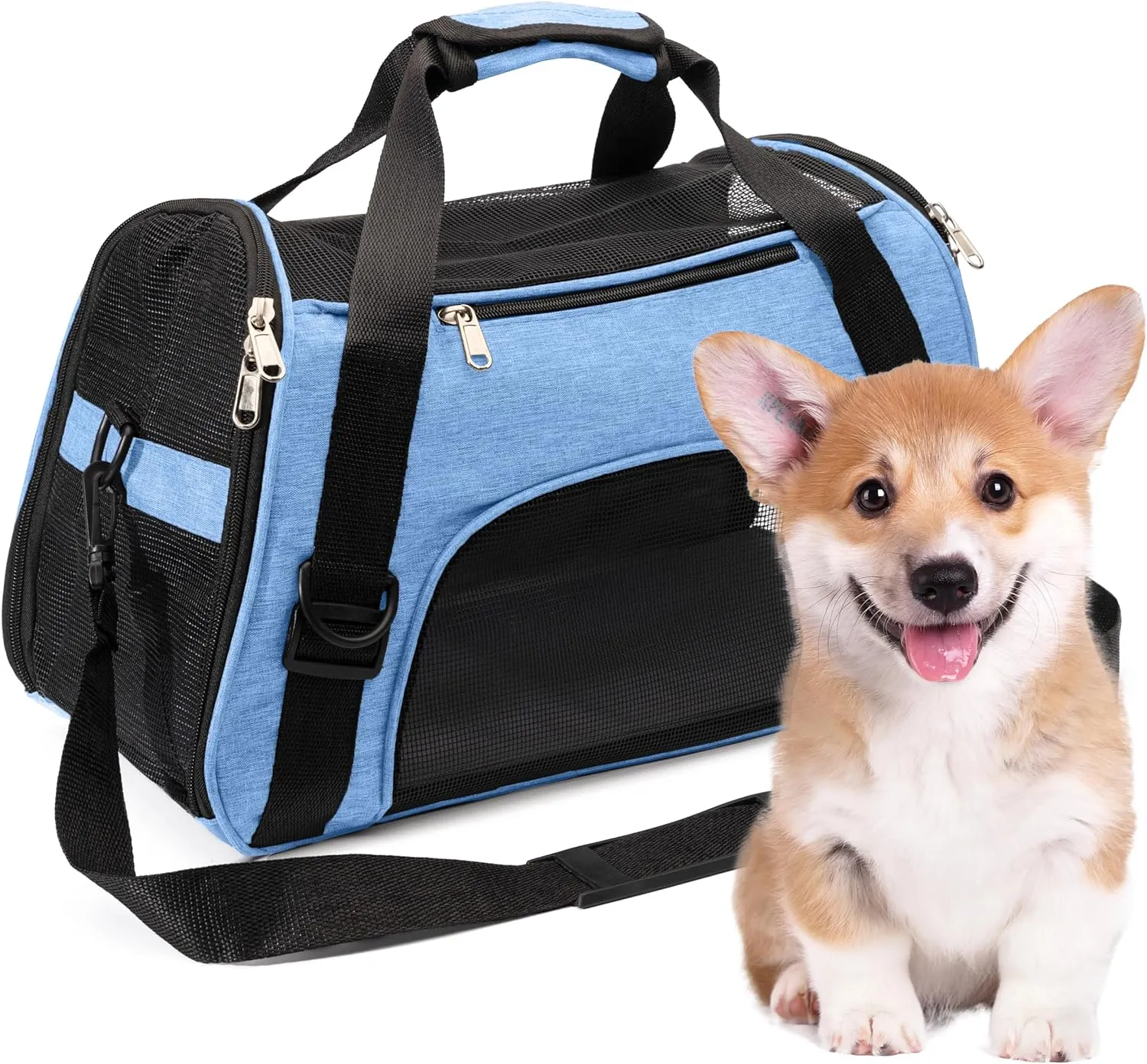 Collapsible Pet Carrier Soft