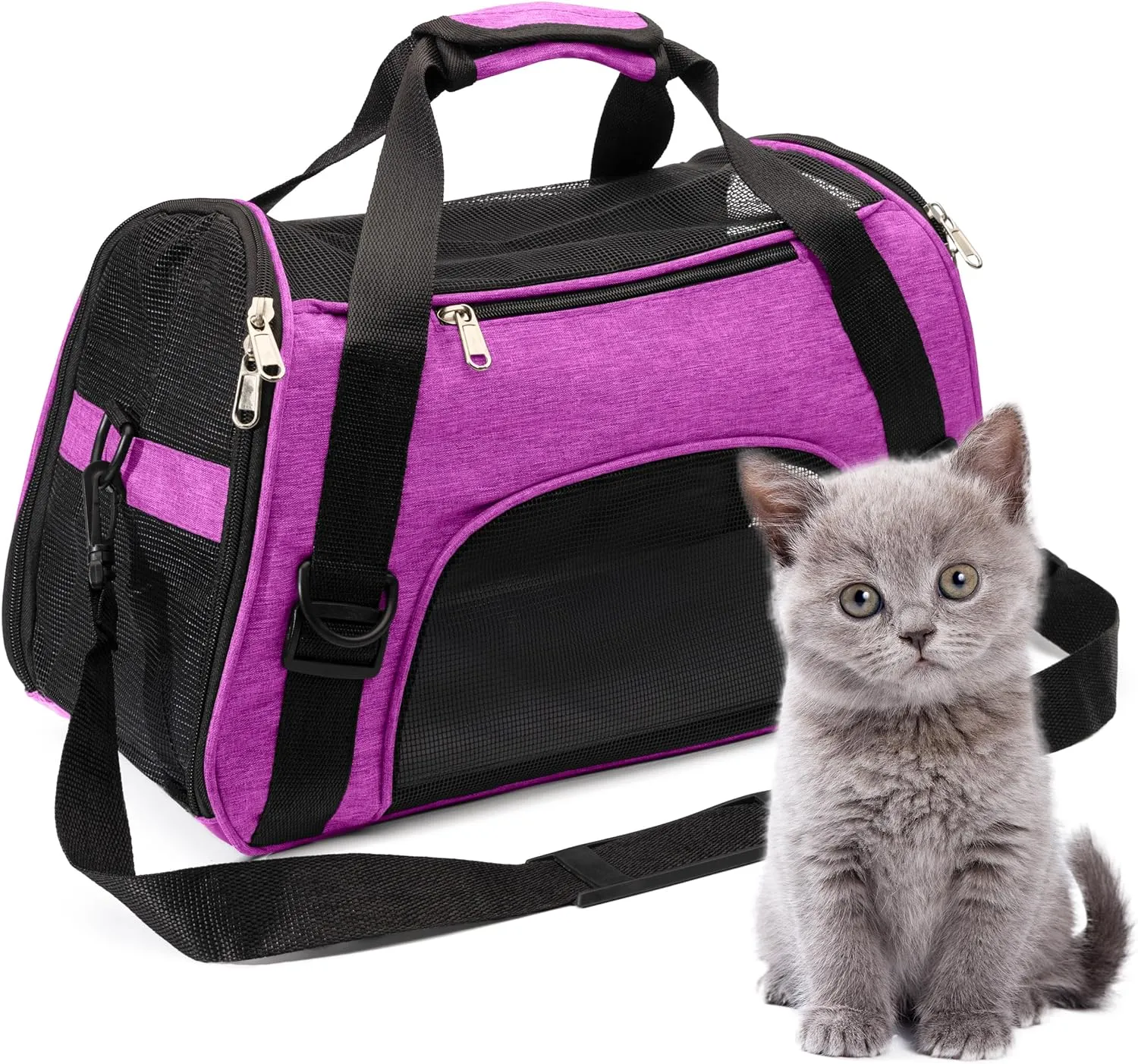 Collapsible Pet Carrier Soft