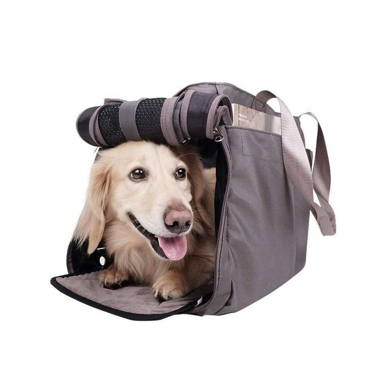 Ibiyaya Canvas Pet Tote Bag