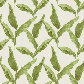 Plantain Wallpaper Green