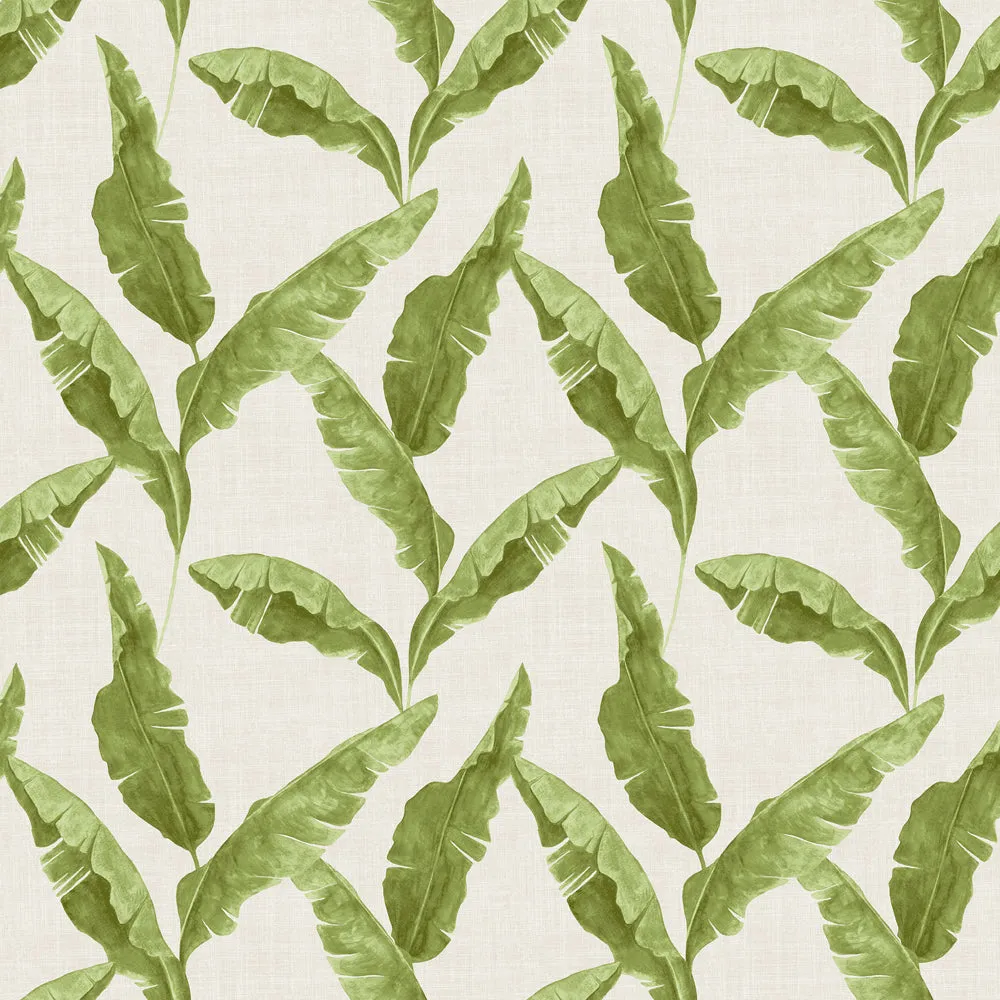 Plantain Wallpaper Green