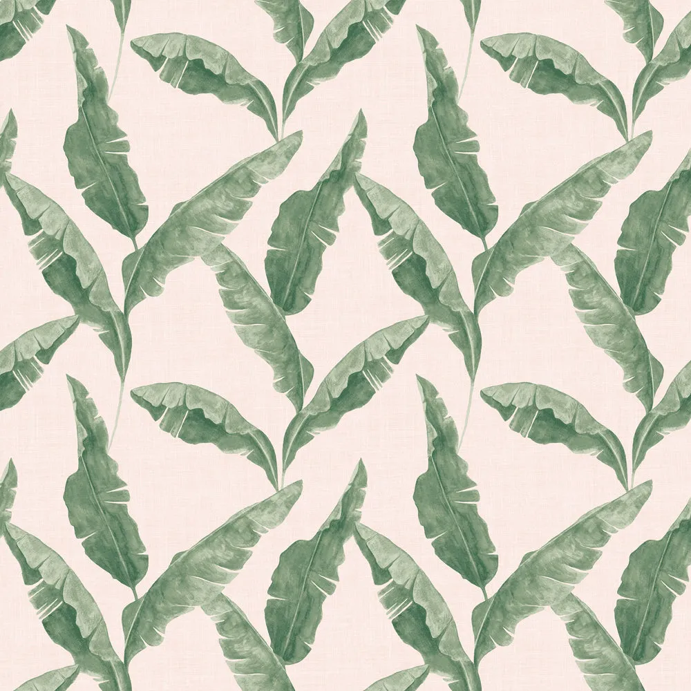 Plantain Wallpaper Teal/Blush