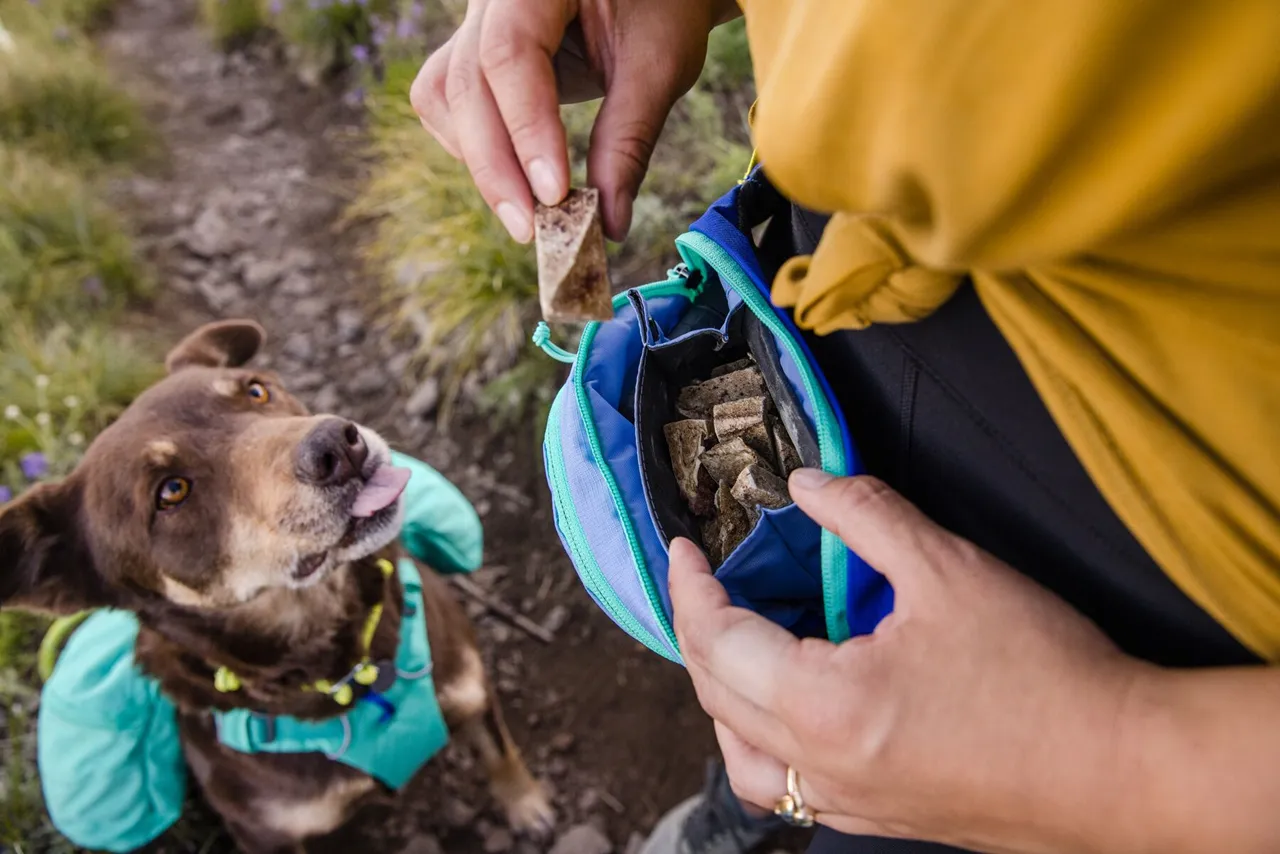 Ruffwear: Home Trail Hip Pack