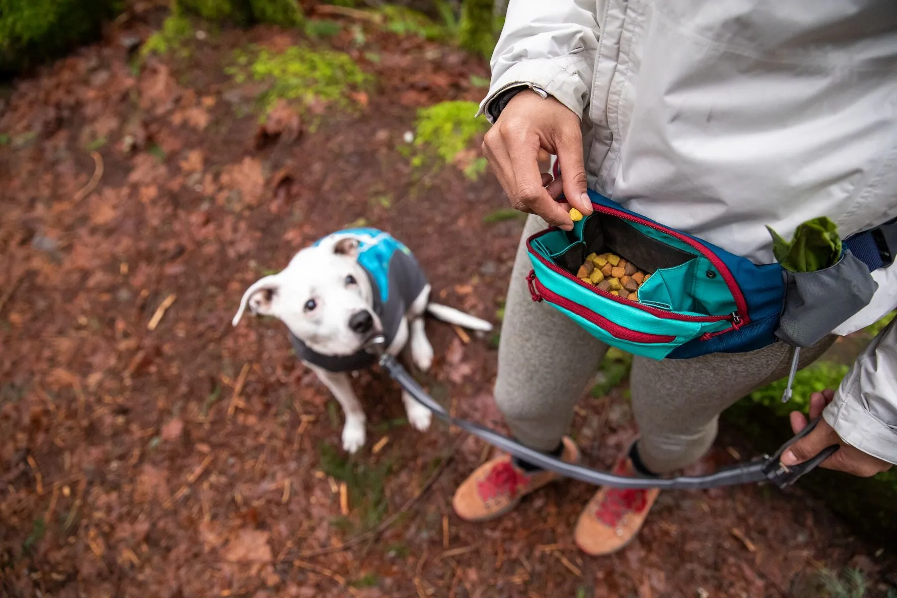 Ruffwear: Home Trail Hip Pack