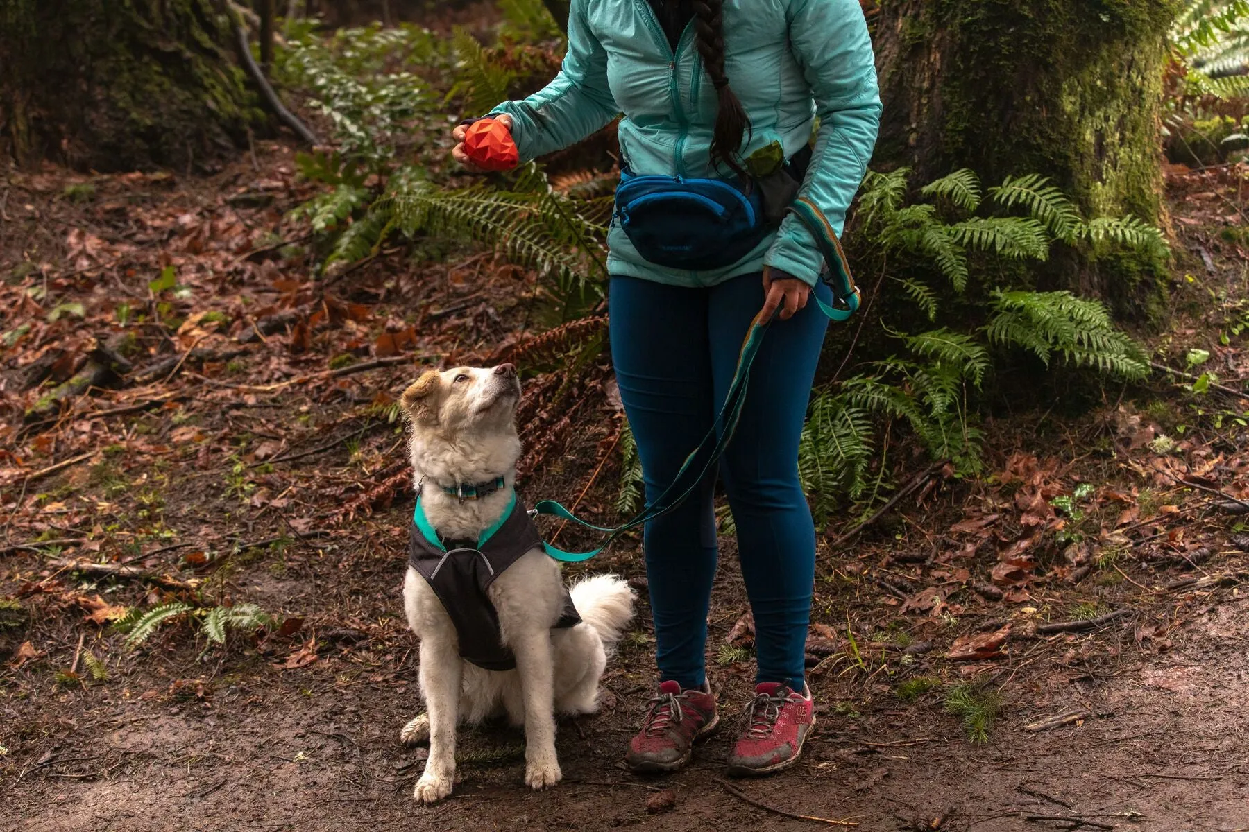 Ruffwear: Home Trail Hip Pack