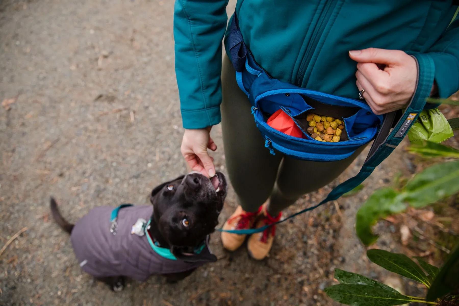 Ruffwear: Home Trail Hip Pack