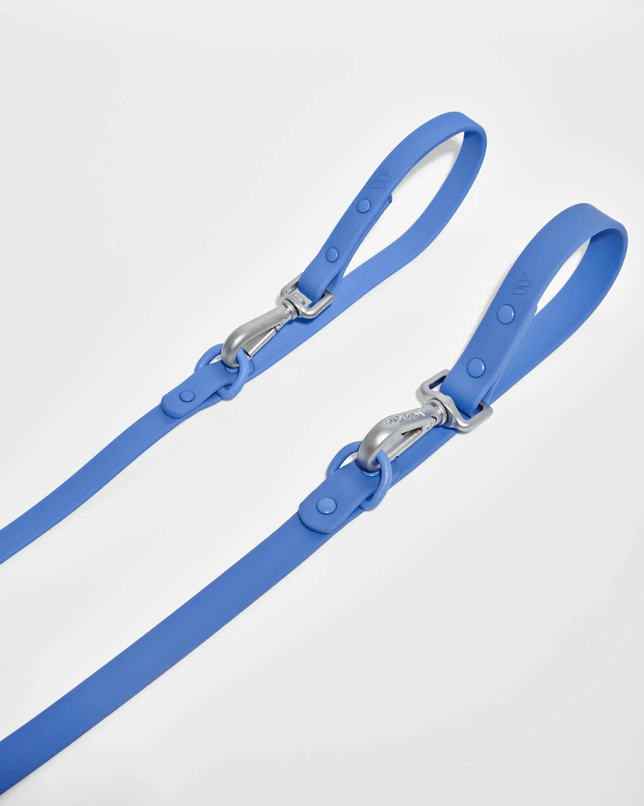 Splendid x Wild One Leash