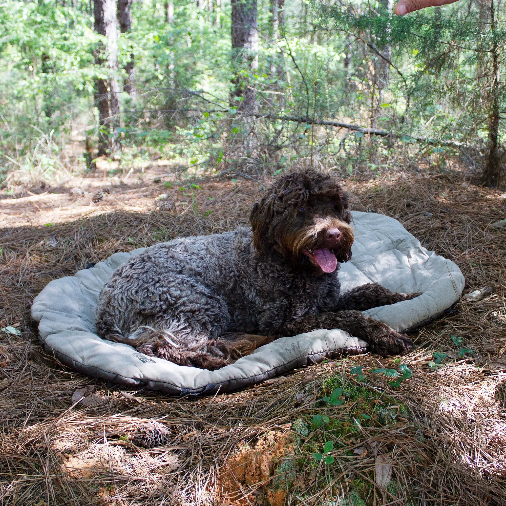 Travel Camping Bed | Olive